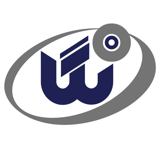 لوگوی اصلی شرکت نظارت گستر ایمن با رنگ‌های آبی تیره و خاکستری